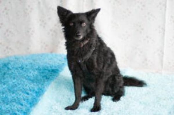 MARENA - liebenswert&intelligent