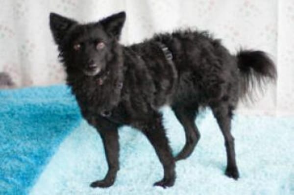 MARENA - liebenswert&intelligent