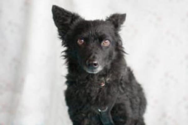 MARENA - liebenswert&intelligent