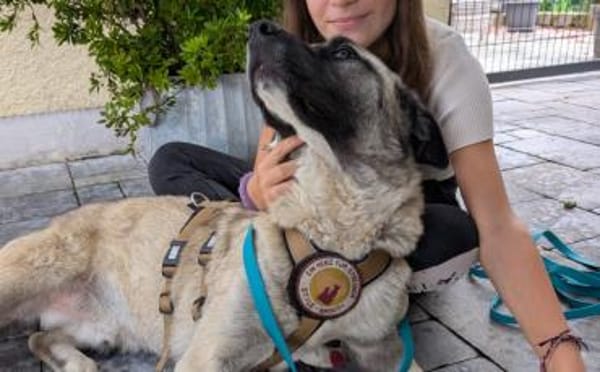 Bezaubert dich der hübsche Zac?