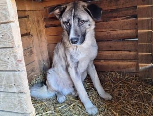 Bezaubert dich der hübsche Zac?