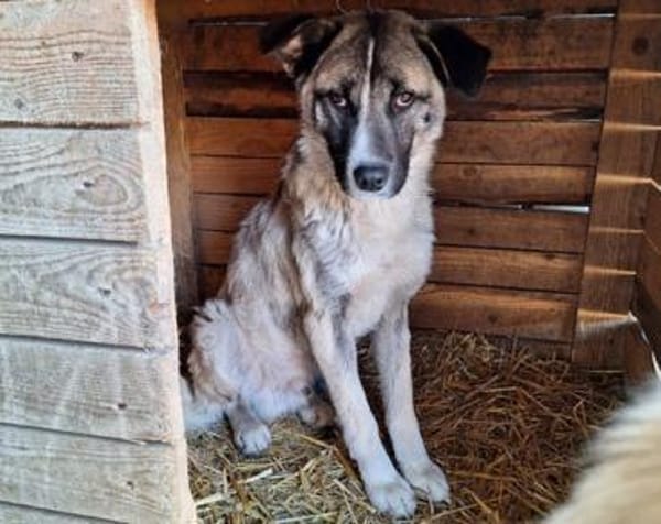 Bezaubert dich der hübsche Zac?