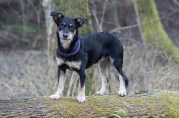 GISLI * liebevoller Bub braucht Halt