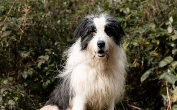 Paul sucht seine Menschen