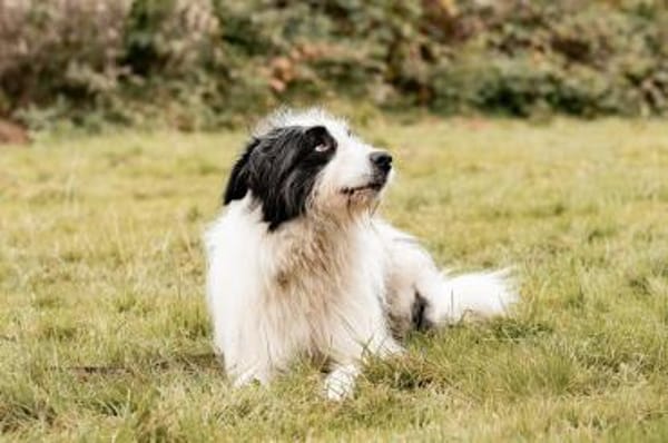 Paul sucht seine Menschen