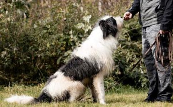 Paul sucht seine Menschen