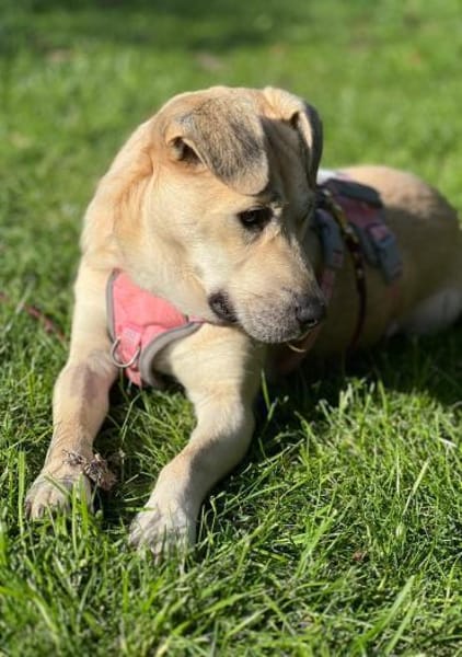 Teslin sucht ihre Herzensmenschen