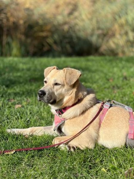 Teslin sucht ihre Herzensmenschen