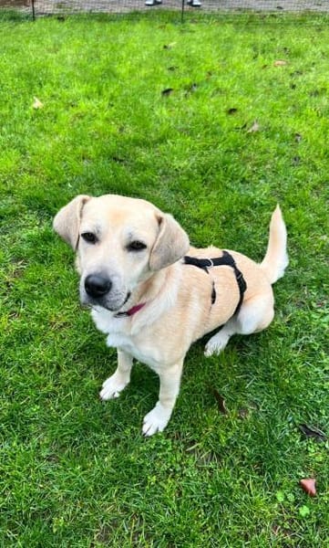 Teslin sucht ihre Herzensmenschen