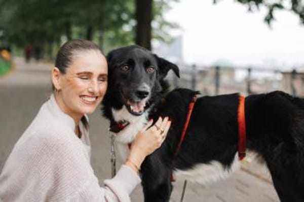 Lino sucht sein Für-Immer-Zuhause