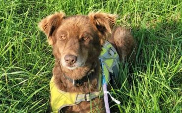 Gibst du Hermine eine zweite Chance?