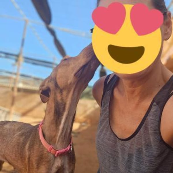 Melodia hat wieder Vertrauen