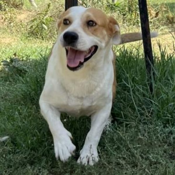 Christoph - ein liebenswertes Unikum