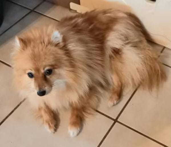 Kessy in 27478 Cuxhaven #