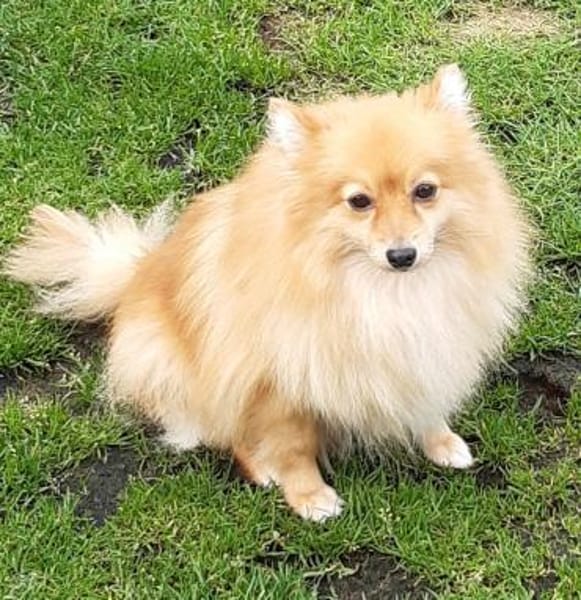 Kessy in 27478 Cuxhaven #