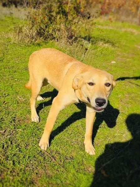 Nicki sehr menschenbezogen