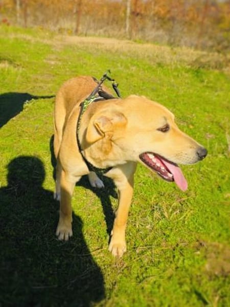 Nicki sehr menschenbezogen