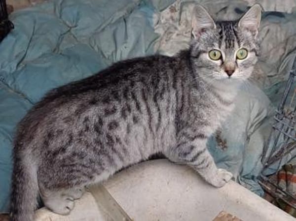 Buffa möchte endlich ankommen