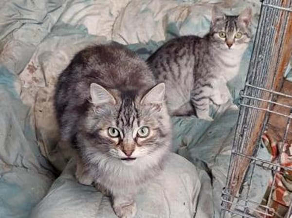 Buffa möchte endlich ankommen