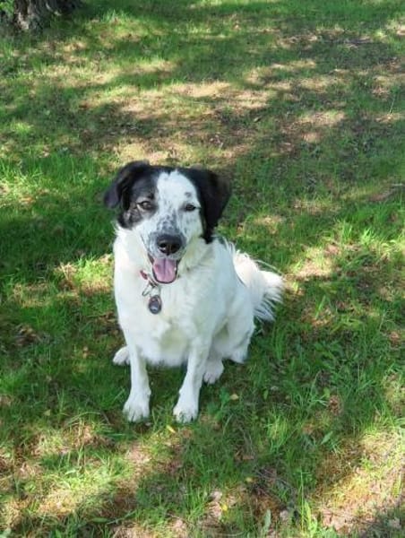 Laiko -PLZ 47239 Duisburg