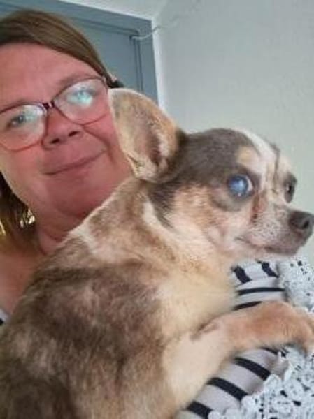 Gigi, ruhige & gemütliche Chihuahua-Dame