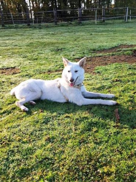 Yuki sucht ihr Zuhause für Immer