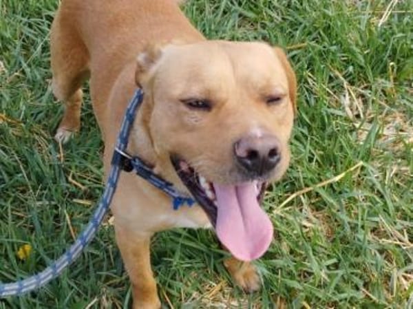 Borris möchte auf Tour gehen