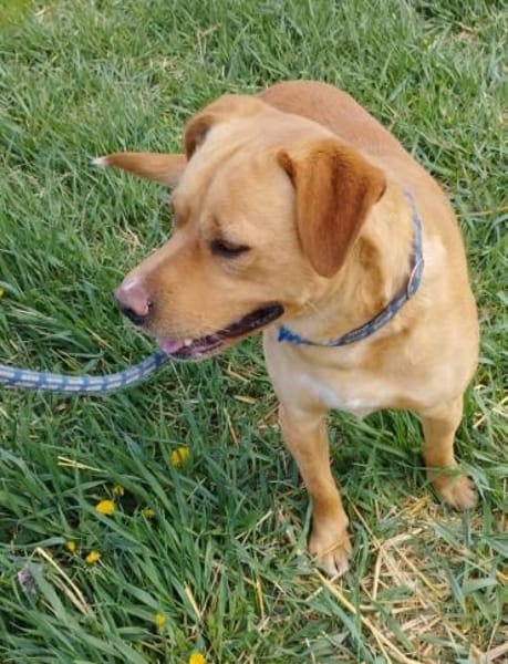 Borris möchte auf Tour gehen