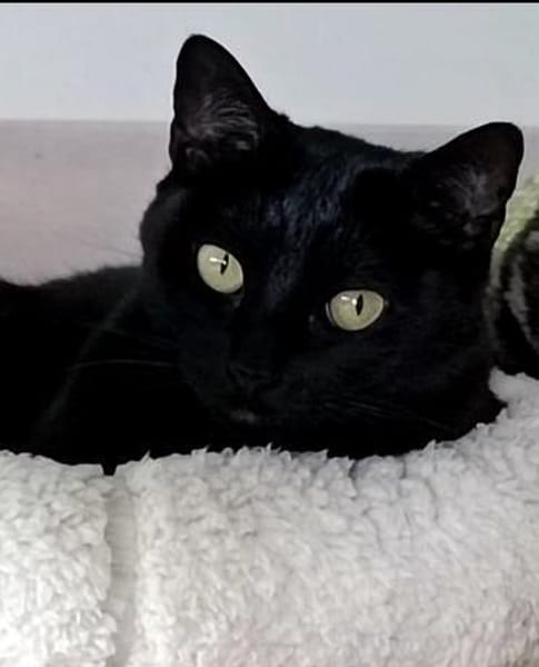 Hiba & Dalila suchen mit Freigang