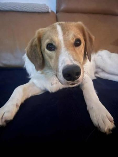 Momo- auf PS in 80636 München