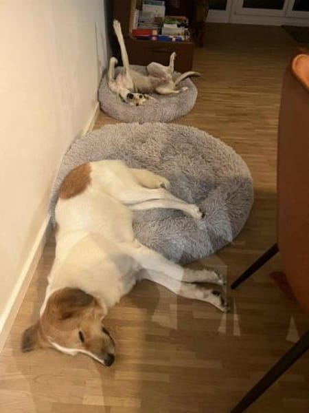 Momo- auf PS in 80636 München