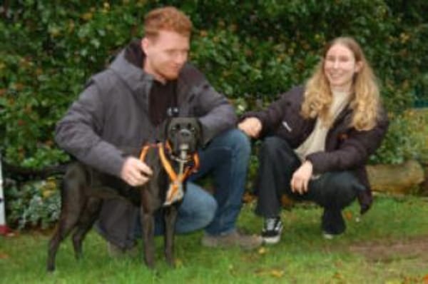 BLACK ABBY - clever&verschmust