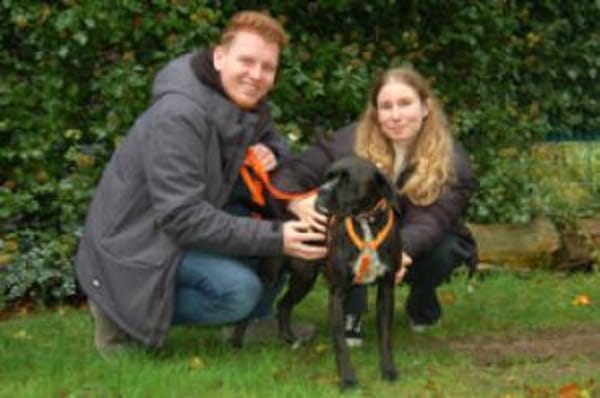 BLACK ABBY - clever&verschmust