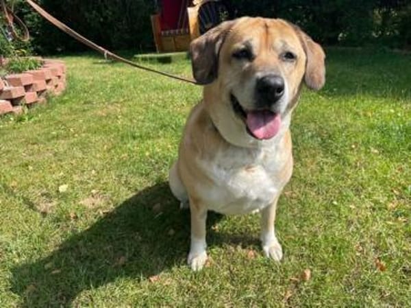 Nazli, su. verständnisvolles Zuhause