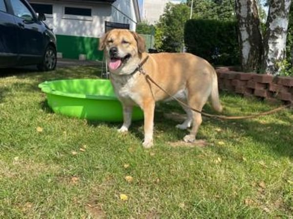 Nazli, su. verständnisvolles Zuhause