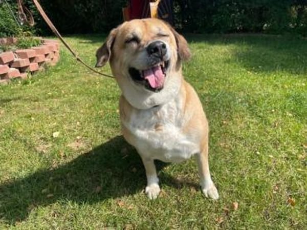 Nazli, su. verständnisvolles Zuhause