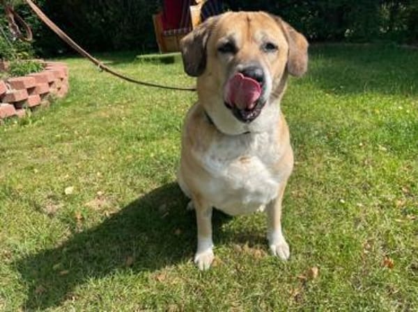 Nazli, su. verständnisvolles Zuhause