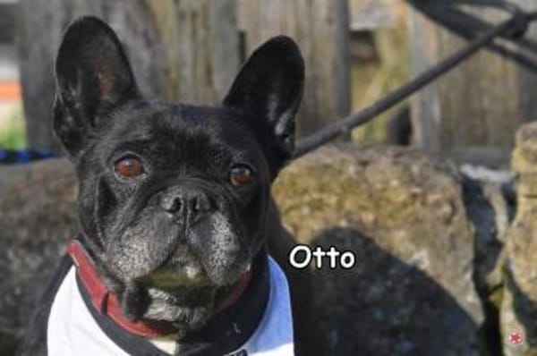 OTTO