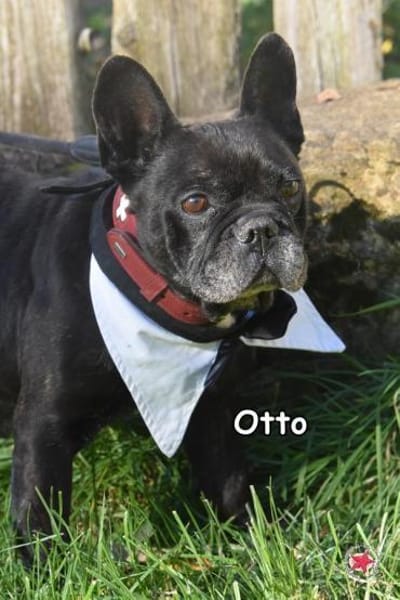 OTTO
