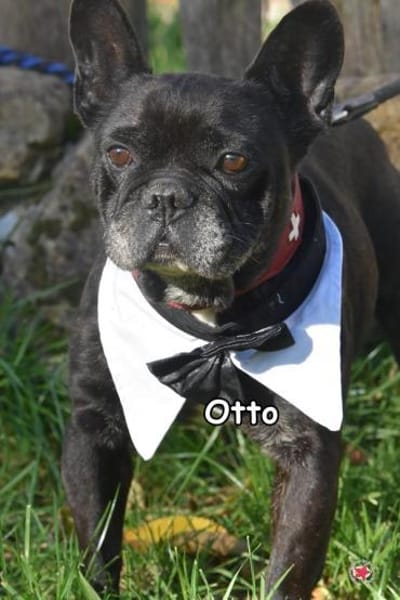 OTTO