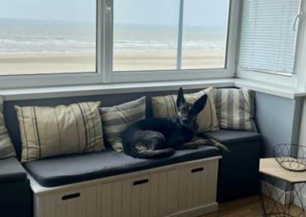 Odessa großes Herz auf 4 Pfoten💕