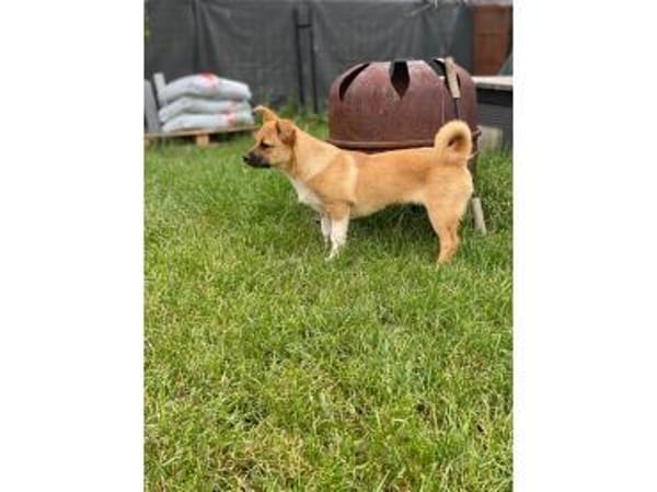 Petra - wartet in 07381 Pößneck