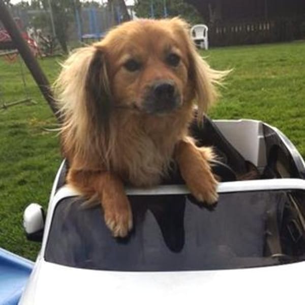 ROBY - tiefe Bindung erobert mein Herz