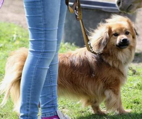 ROBY - tiefe Bindung erobert mein Herz