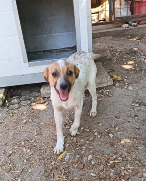 Holly möchte geliebt werdeb