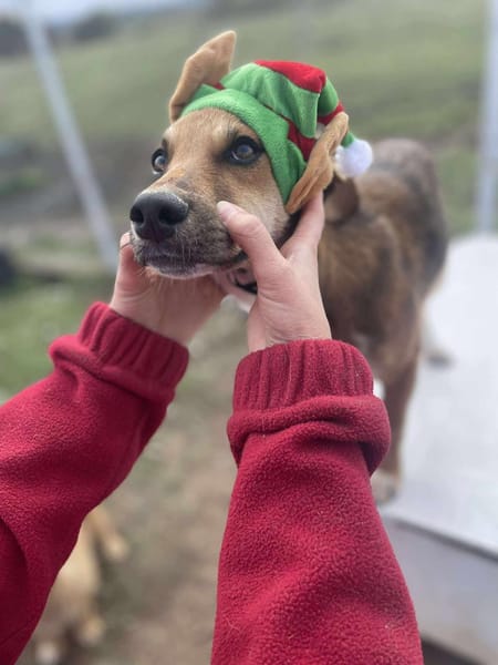 Mandy, klein, zart sucht Liebe