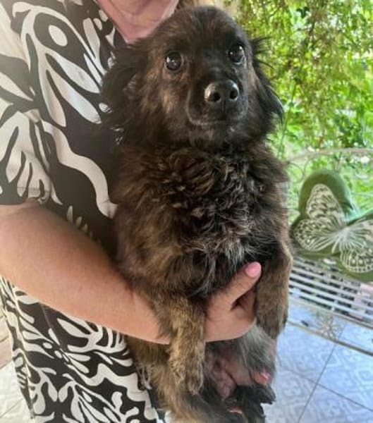 Maci wünscht sich eine Chance