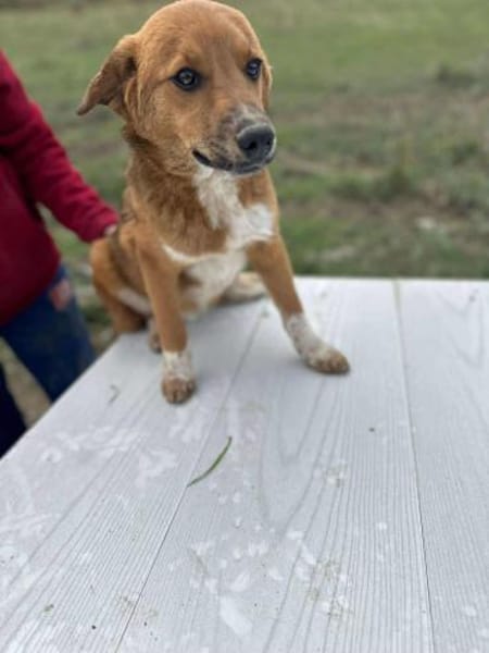 Moritz, klein, schnuckelig, sucht