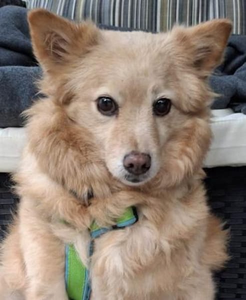 Jimena verdient ganz viel Liebe.....