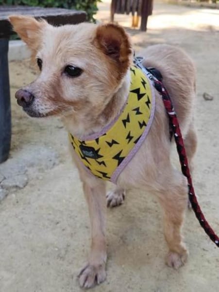 Jimena verdient ganz viel Liebe.....